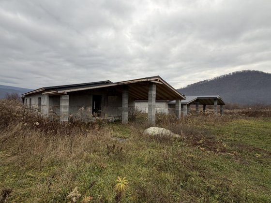 Продам 2 будинки в мальовничому місці Чинадійово