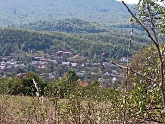 Ціну знижено! Продамо будинок та 25 соток Голубине на пагорбі Голубиное