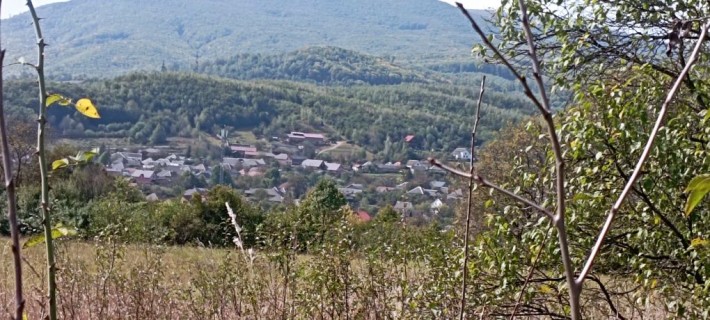 Ціну знижено! Продамо будинок та 25 соток Голубине на пагорбі - фото 1