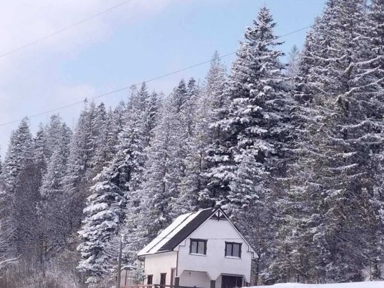 Затишний будинок в Микуличині від власника Микуличин