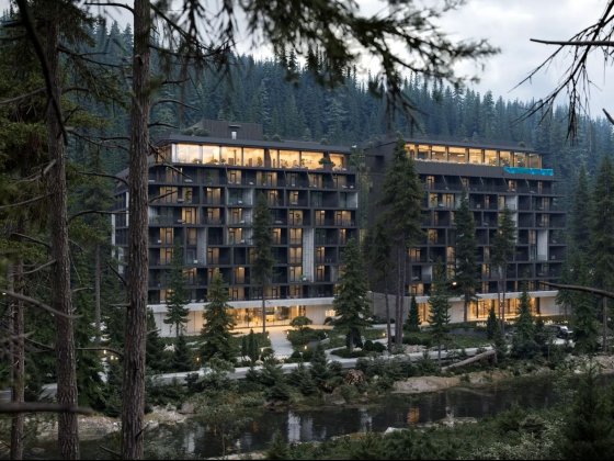 Інвестиція в Карпатах апартаменти Меліс Яблуниця готовий бізнес Melis Яблуниця