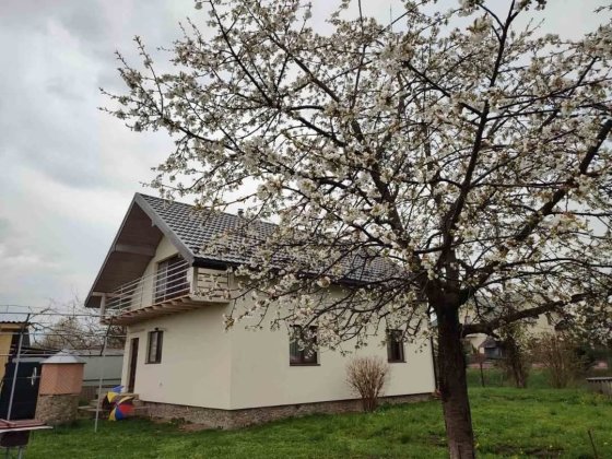 Будинок у Богородчанах Богородчаны