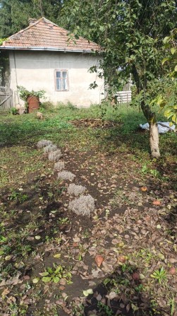 Продається будинок + ділянка. - фото 1