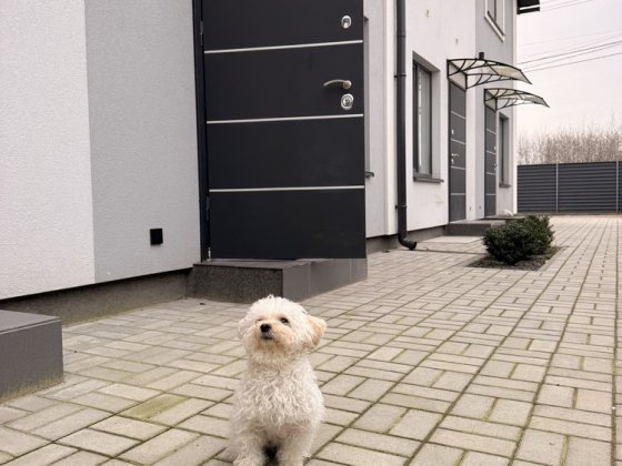 ‼️АКЦІЙНА ЦІНА - площа 35м2 ТАУНХАУС‼️ власник / без комісії Святопетровское