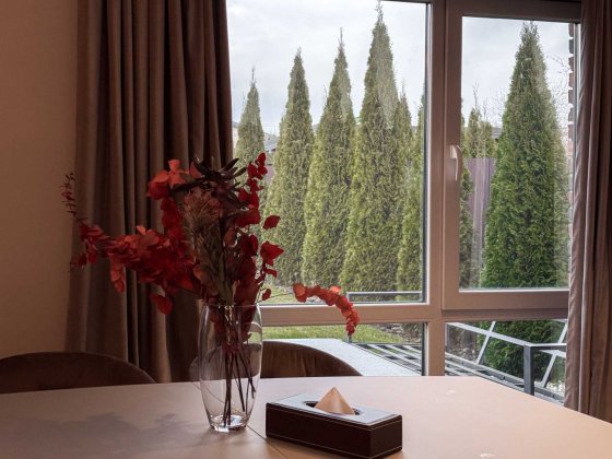 Будинок з ремонтом на 160 м2, 6 соток + відео. Від власника. Святопетровское