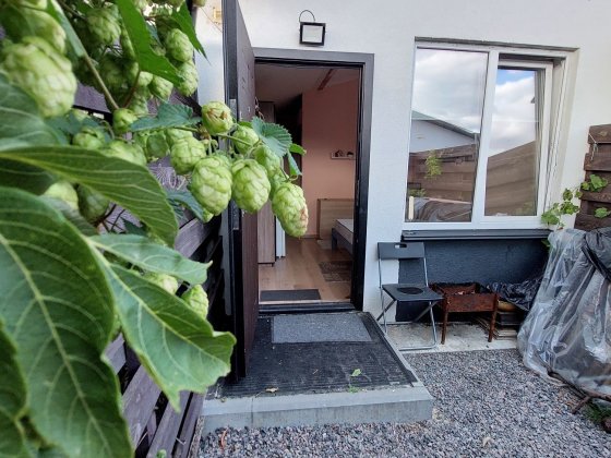 Продаж таунхаусу з подвір'ям Білогородка Білогородка