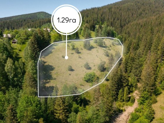 Земельна ділянка в Микуличині 1.29 га Яремче