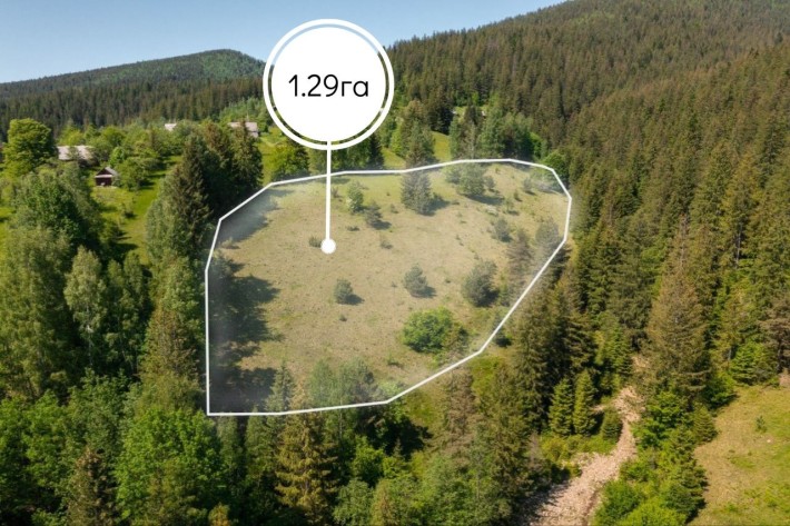 Земельна ділянка в Микуличині 1.29 га - фото 1