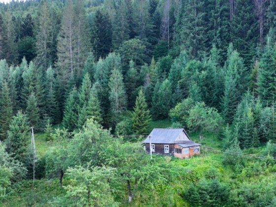 Земельна ділянка в Татарові біля водоспаду Гук 0.25 га Яремче