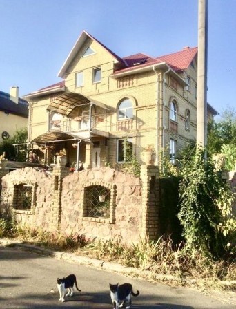 Продаж будинок Святопетрівське без комісіі - фото 1