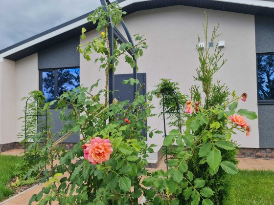 Забудовник. Продам новий будинок. Білогородка