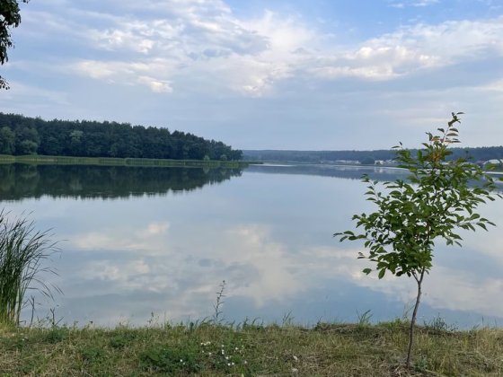 Дача в эксклюзивном месте Круглика Ходосовка