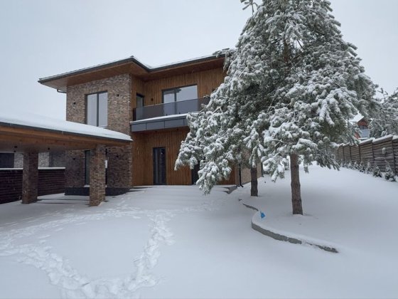 Будинок на 10-ти сотках ‼️ Лазня, автонавіс, літній будинок Гореничі