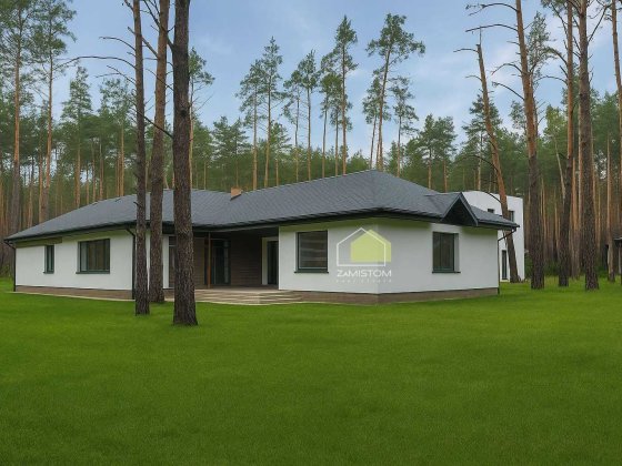 ‼️‼️Продам‼️‼️‼️№1028. Будинок в Підкові. Ділянка 14 сот Гнідин