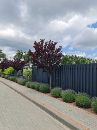 ВІд забудовника! Продам будинок 97.2 м2. Телефонуйте. - фото 1