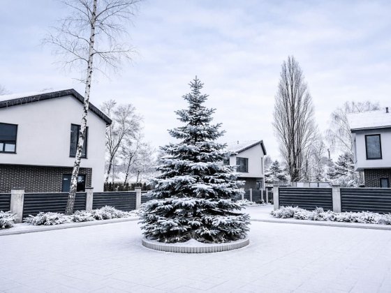 Гореничі,Будинок з РЕМОНТОМ,150м2+5 соток.Альтанка 20м2,ПРЯМИЙ продаж! Гореничі