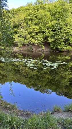 Хутор Ясный продажа дома, Ходосовка, Лесники - фото 1