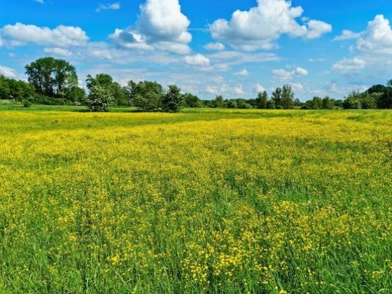 Акция! Вита-Почтовая. Коттедж 80 м в центре Віта-Поштова