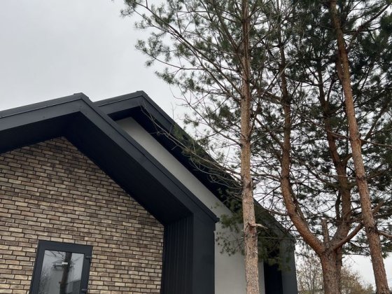 Продаж! Окремий будинок з соснами 3 кімнати | 4 сотки | Віта Поштова Віта-Поштова