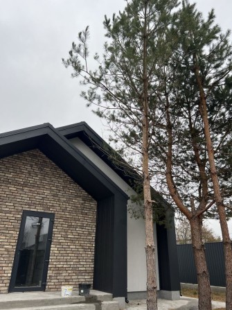 Продаж! Окремий будинок з соснами 3 кімнати | 4 сотки | Віта Поштова - фото 1
