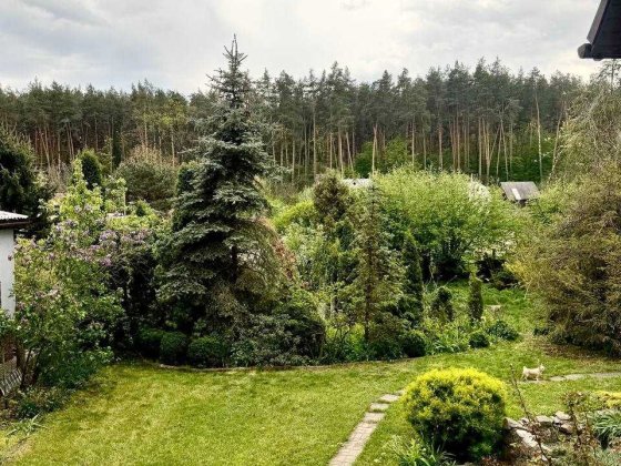 Казковий Будино в Стоянці з видом як на Карпати. 15 хв до Киева Стоянка