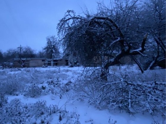 Продам нежилий будинок з рівною ділянкою поблизу центру Узина Узин