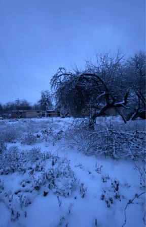 Продам нежилий будинок з рівною ділянкою поблизу центру Узина - фото 1