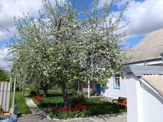 Продаж будинку м. Миронівка Мироновка