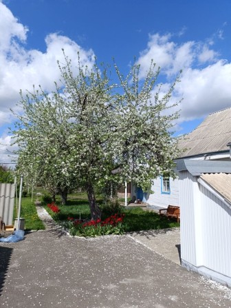 Продаж будинку м. Миронівка - фото 1