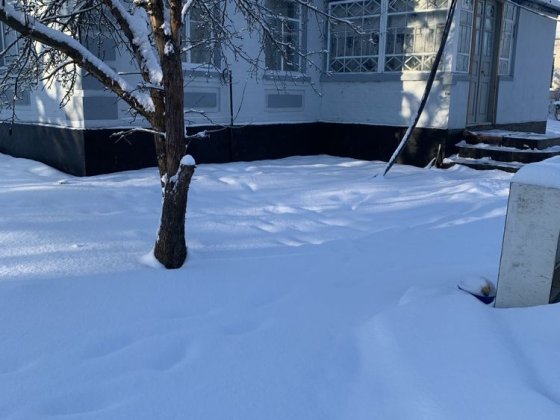 Продам будинок від  власника  в м Тараща  Киівськоі обл.  поблизу лісу Тараща