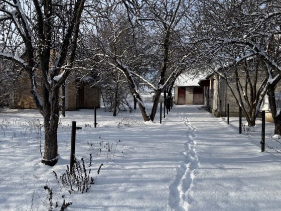 Продаж приватний будинок Миронівка велика територія Мироновка