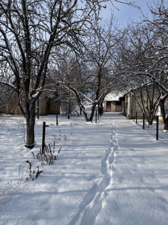 Продаж приватний будинок Миронівка велика територія - фото 1