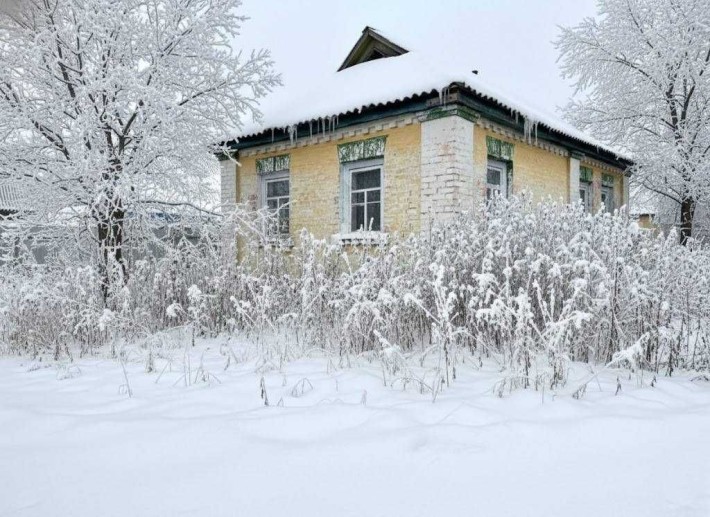 Продаж будинку під ремонт 62м2, 15 соток. Бородянка СЕРТИФІКАТ ID781 - фото 1