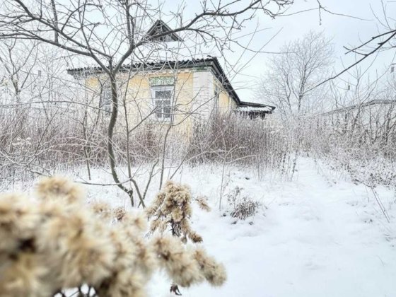 Продаж будинку 63м2 під реконструкцію. 15 соток. СЕРТИФІКАТ! ID:781 Бородянка