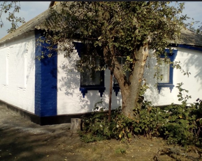 Продається будинок з діючим бізнесом (магазин-кафе) - фото 1