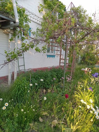 Продам будинок в Баришівці в районі вулиці Володимира - фото 1