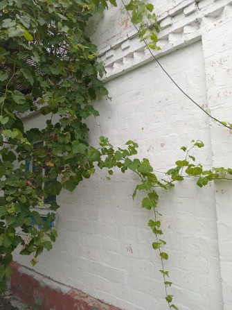 Продам будинок за Борисполем - смт Баришівка - фото 1