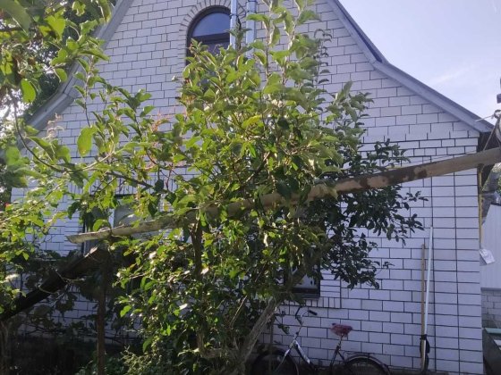 Продаж будинку в Баришівці Баришівка