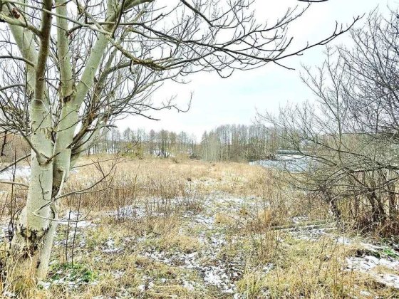 Продам ділянку 23 сотки з будинком Макарів