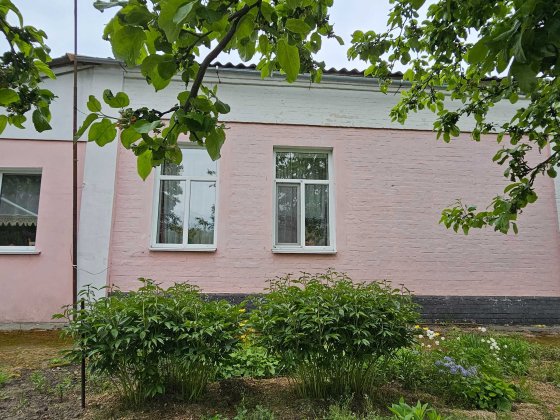 Продаю будинок Немішаєве Немешаево