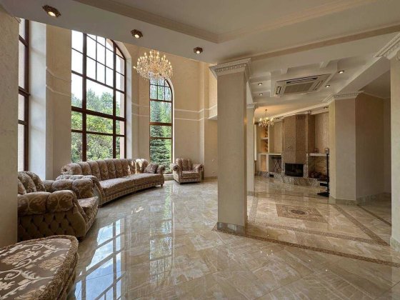 Розкішний маєток 350м² з виходом у ліс. 36 соток. Блиставиця Блиставиця