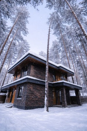 Сучасний будинок 220 м² у сосновому лісі, КМ Шевруд - фото 1