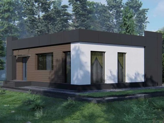 Будинок 95 м² у центрі села Дмитрівка 8 соток Тепла підлога. Дмитрівка