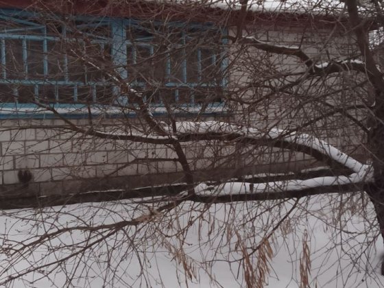 Продаж Дома з земельною ділянкою у с. Дударків, Київська область 20 ст Дударків