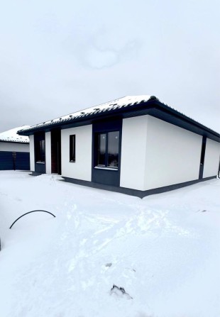 Одноповерховий біля лісу 110м2 га 4,6 сотках - фото 1