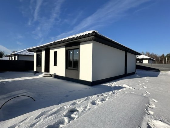 Одноповерховий будинок в передмісті Києва Дмитрівка