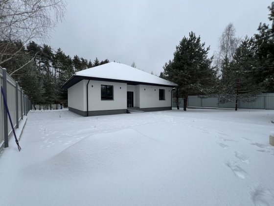 Одноповерховий будинок з ремонтом  та виходом до лісу Дмитрівка
