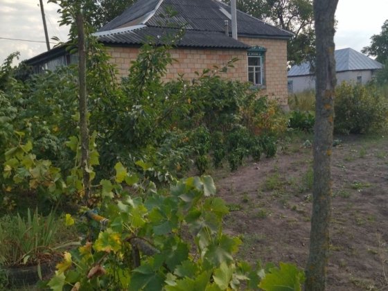 Терміново! Продам будинок с.Іванків Бориспільський р-н. Иванков