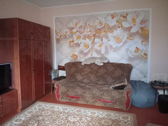 Без % частина будинку в Броварах. Опалення  не залежить від світла Бровары