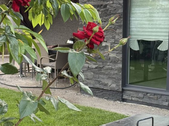 Окремий будинок від власника Зарічча Біла Церква